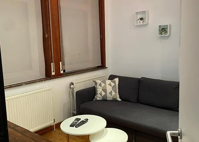 Charmant Studio Cosy Au Coeur D\'Ixelles